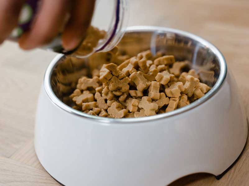 Pet Food Industry